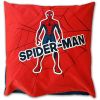 Parure de lit Spider Man – New York 100% coton 140x200 cm