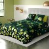 Parure de drap 240x300 4 pièces Coton Ginko Vert