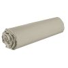 Drap housse 140x190 +35 cm Coton 57 fils Latte