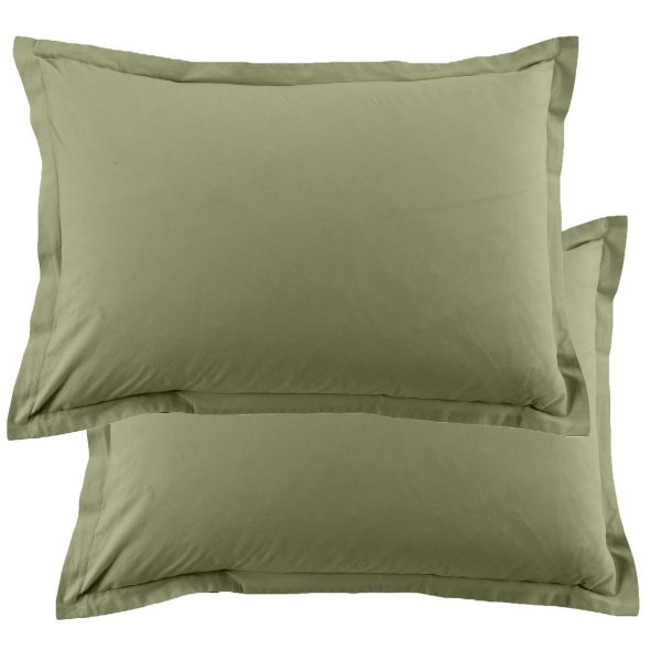 Lot de 2 taies d'oreiller 50x70 cm Coton 57 fils Verveine