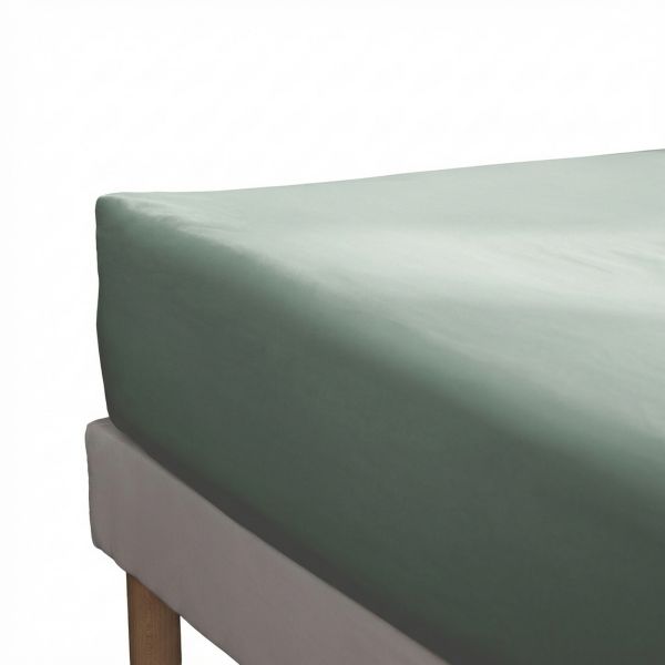 Drap housse 90x190+25 cm Percale de Coton Céladon
